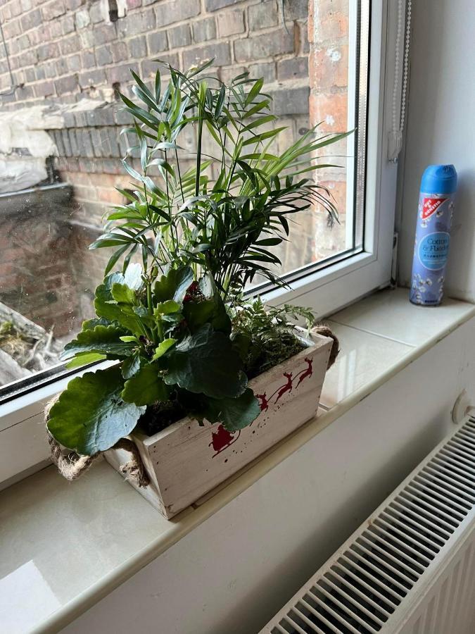 Wohnung 18 Lutherstadt Eisleben Esterno foto